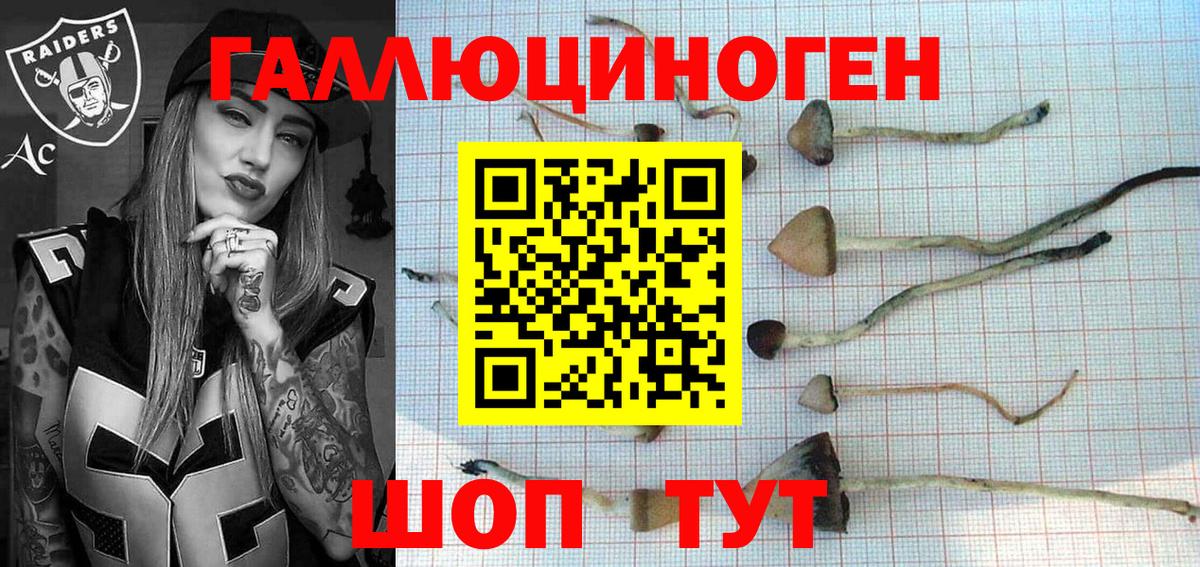 Галлюциногенные грибы Psilocybine cubensis  Псилоцибиновые грибы Cubensis  Вход с VPN  Орёл 